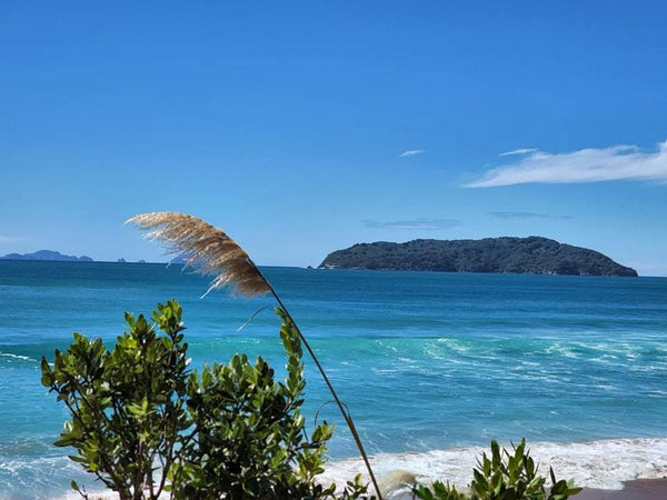 4 DAY / 3 NIGHT Private ART RETREAT in Tairua, NZ for 2 people. -JULY 2025