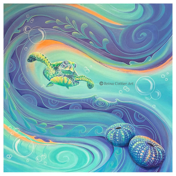 10 / A4 sized Photocard Prints- 30 inages to  choose from