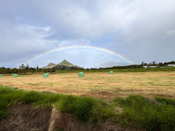 4 DAY / 3 NIGHT Private ART RETREAT in Tairua, NZ for 2 people. -JULY 2025