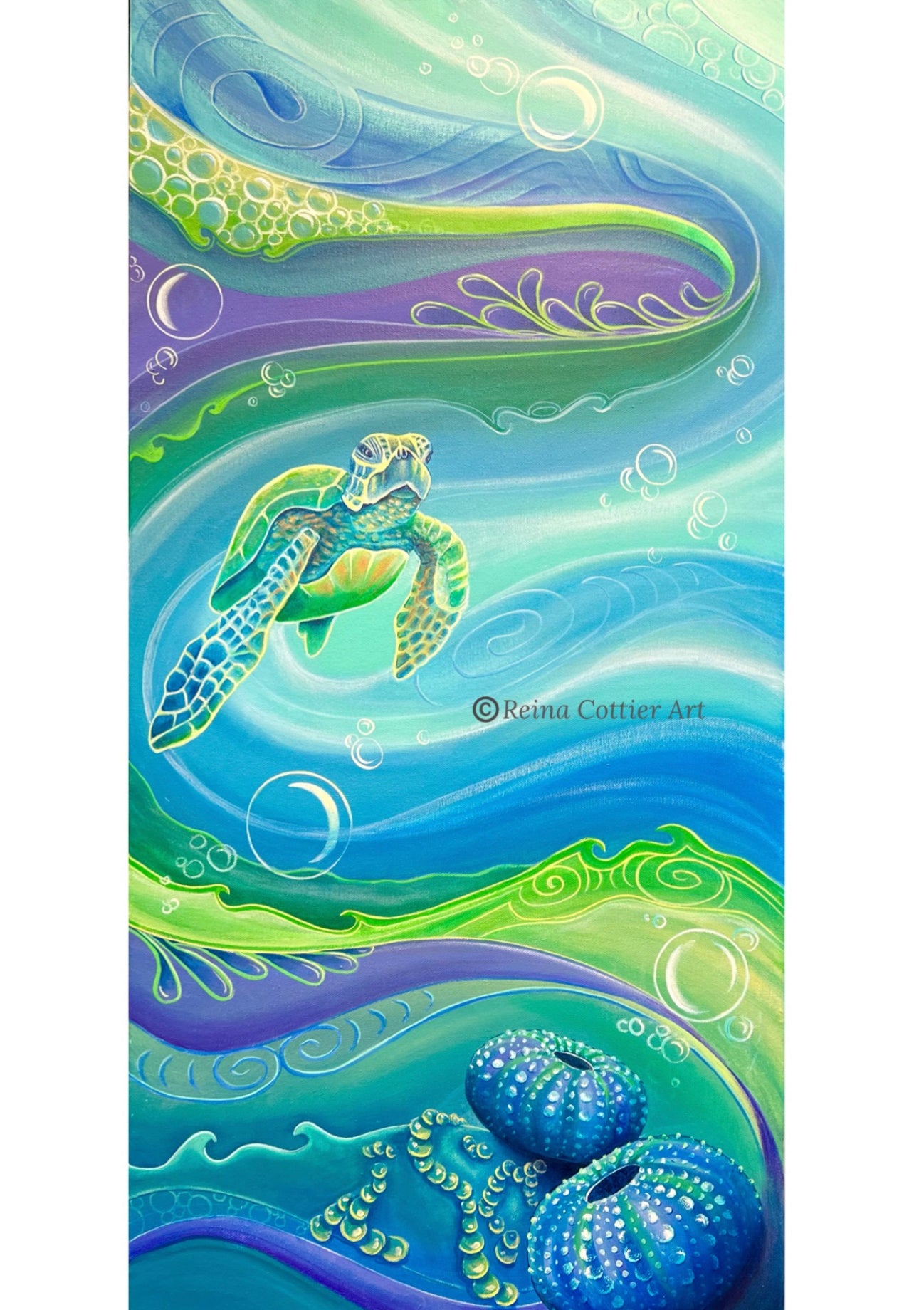 Canvas Print - Turtle 3   (4 sizes)