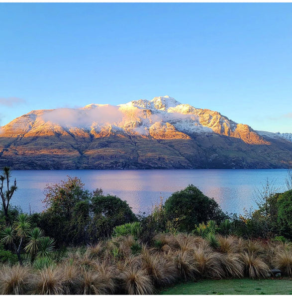 Art Retreat Queenstown    (16-19 May 2025) ✨Creativity & Connection✨