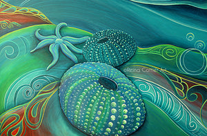 Canvas Print- Kina / Sea Urchin